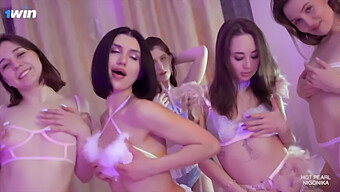 在flamingo Orgy4中体验与nigonika的群交快感