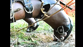 Vintage Italienische Amateurin Mit Größerem Schwanz In Oralem Und Analem Vergnügen