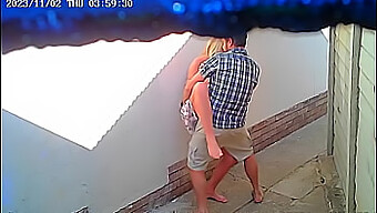 Video Casero Captura A Una Pareja Teniendo Sexo En Un Parque Público