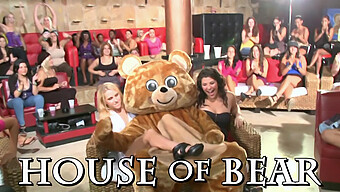 Wild Cfnm Party With Dancing Bear And Horny Milfs Giving Blowjobs And Riding Big Cocks!